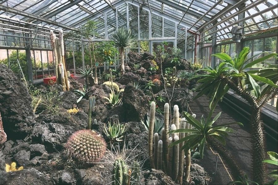 jardin-botanique