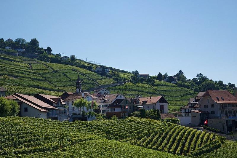 terrasses-lavaux