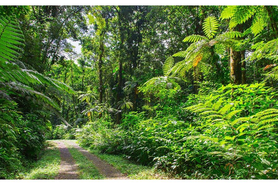 parc-guadeloupe