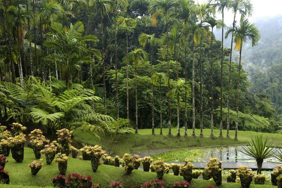 jardins-balata