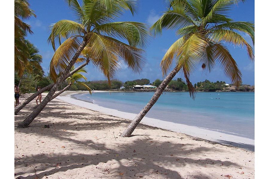 plage-salines