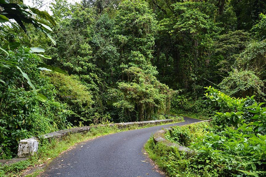 route-trace