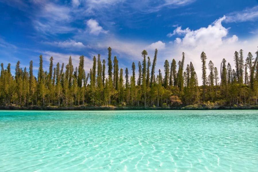 ile-aux-pins