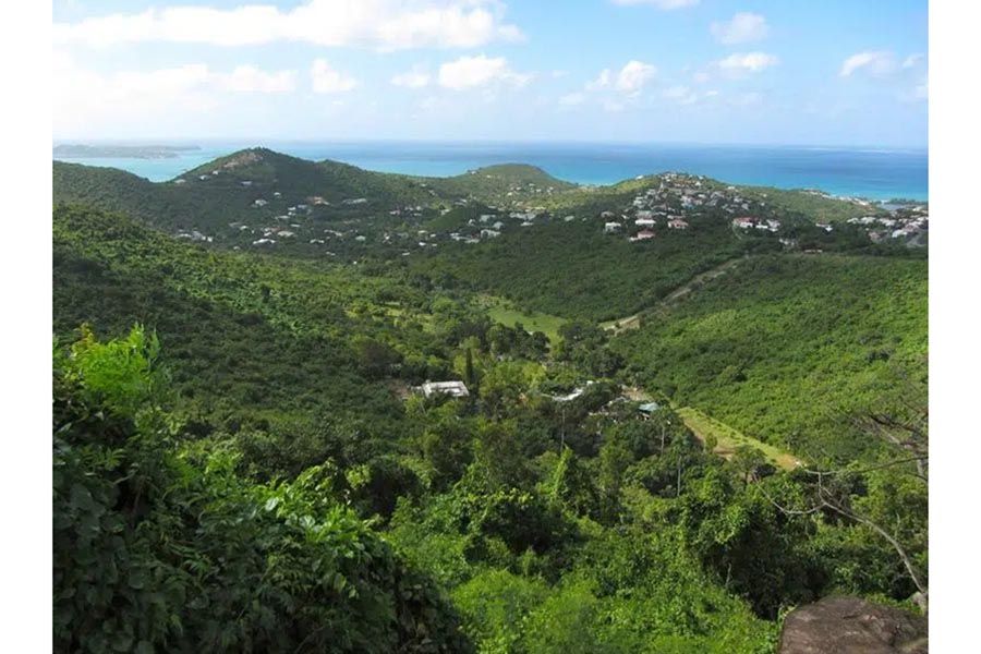 pic-paradis