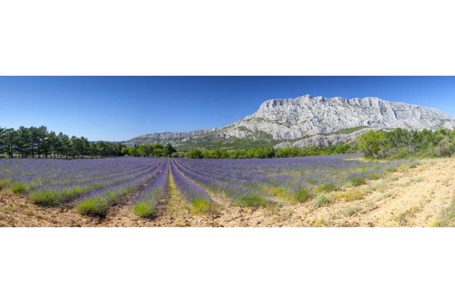 montagne-sainte-victoire