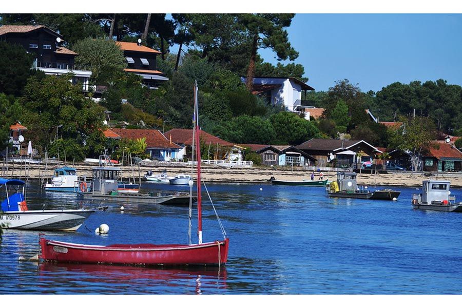 cap-ferret