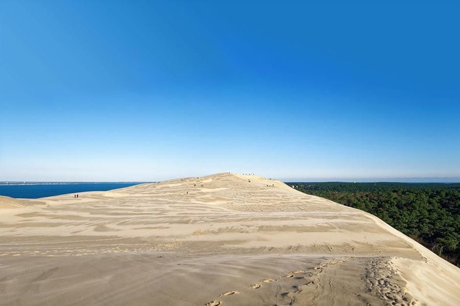 dune-pilat