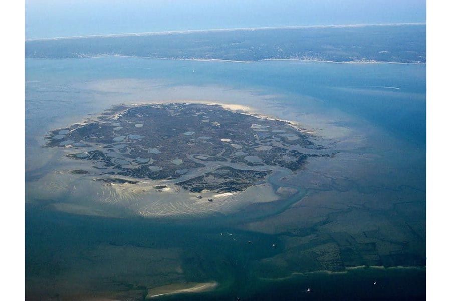 ile-oiseaux