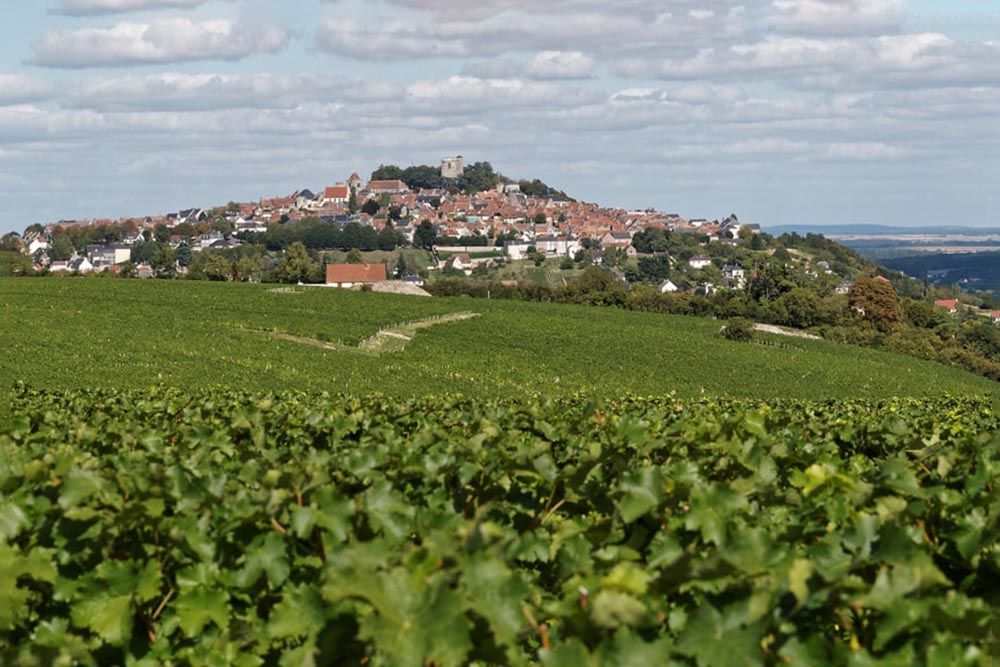 sancerre