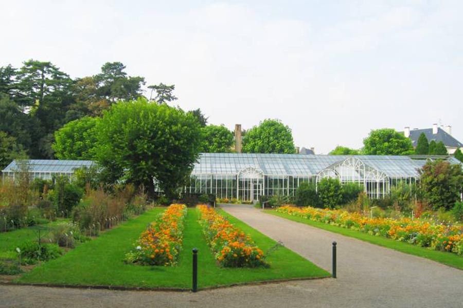 jardin-plantes