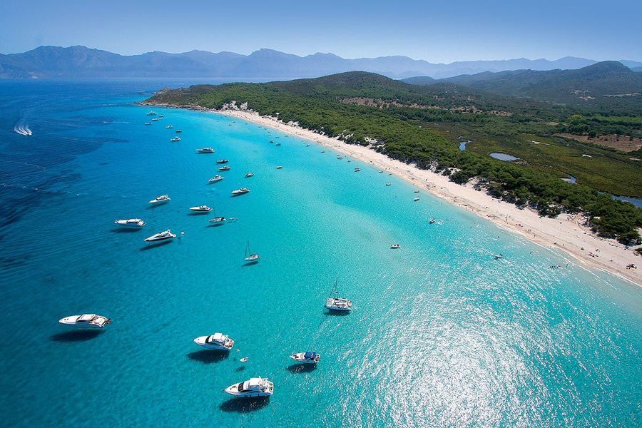 desert-agriates