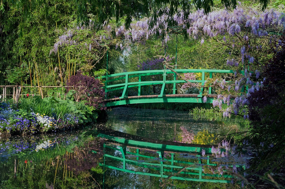 jardin-10