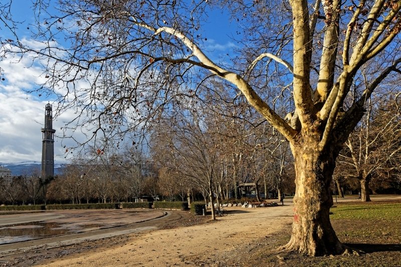 parc-paul-mistral