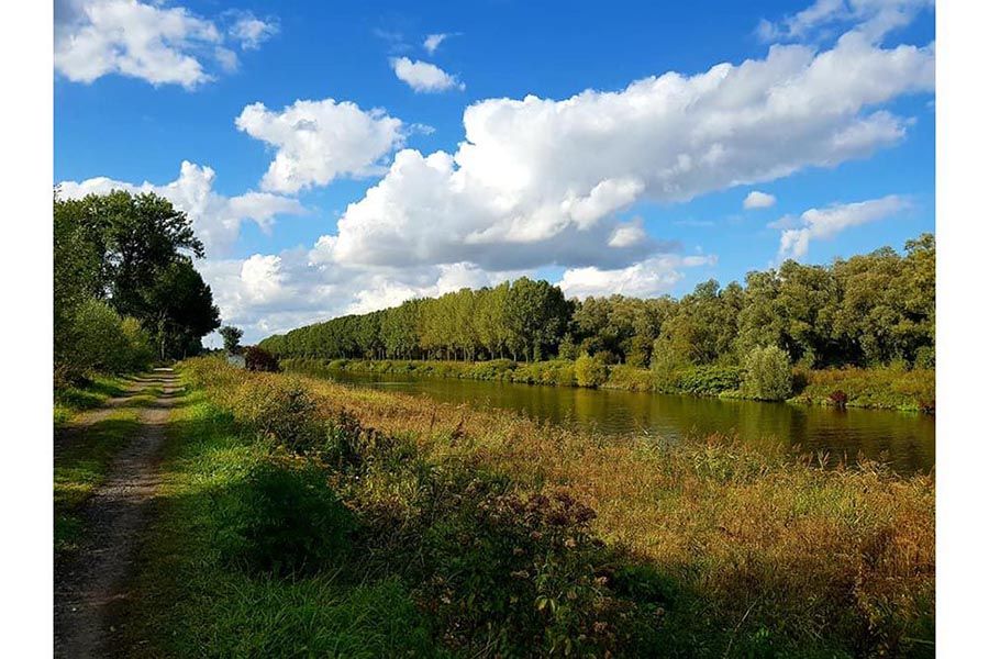 parc-scarpe-escaut