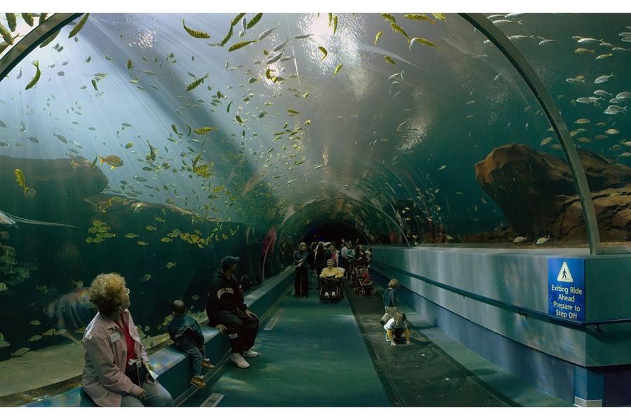 aquarium