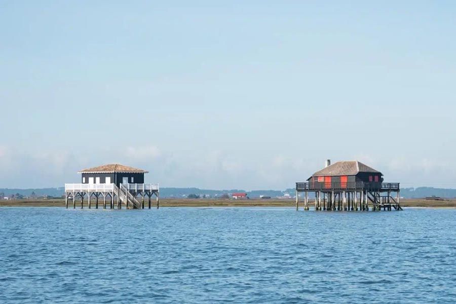 ile-oiseaux