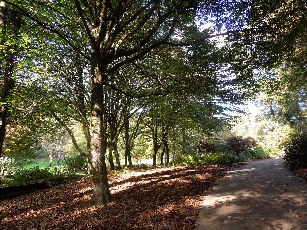 parc-aurence