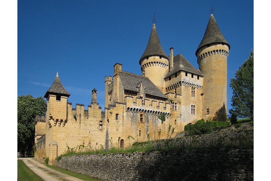 chateau-puymartin