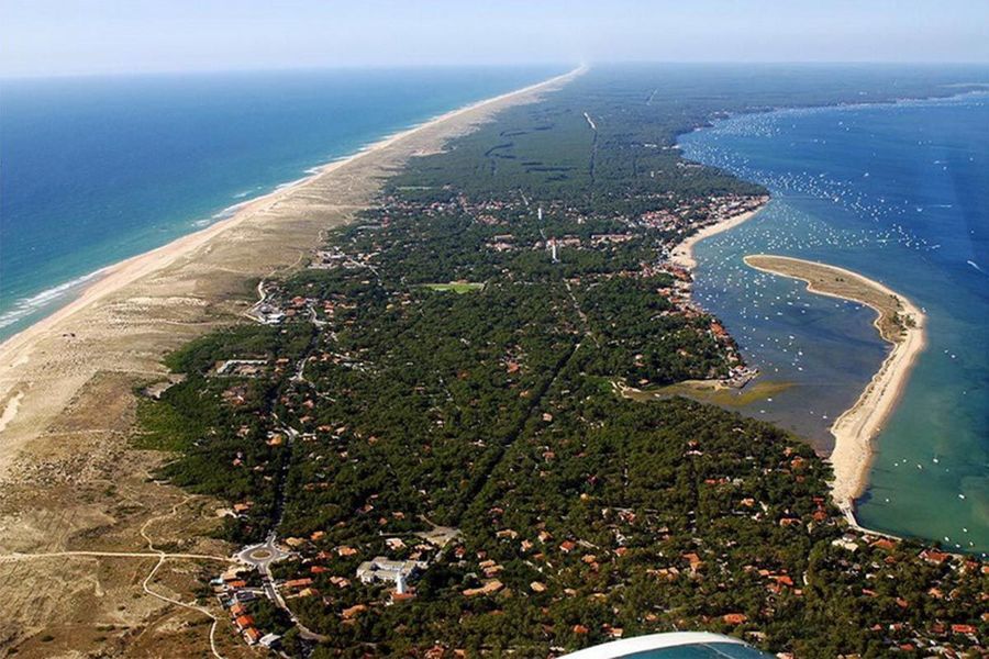 lege-cap-ferret