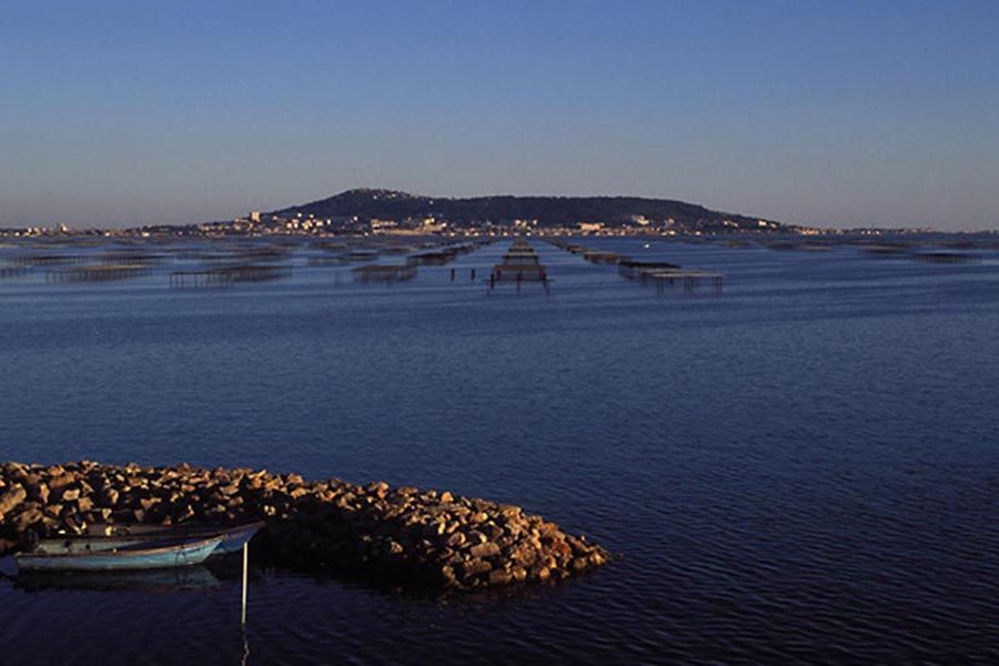 etang-de-thau