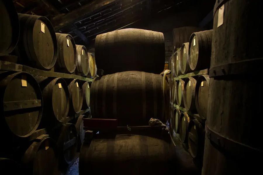 vignobles-armagnac