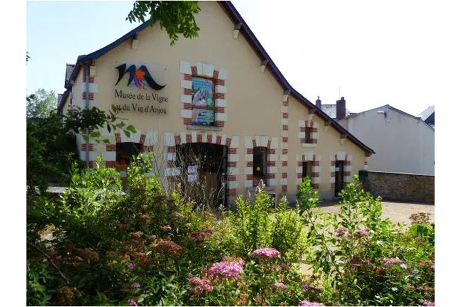 musee-vigne