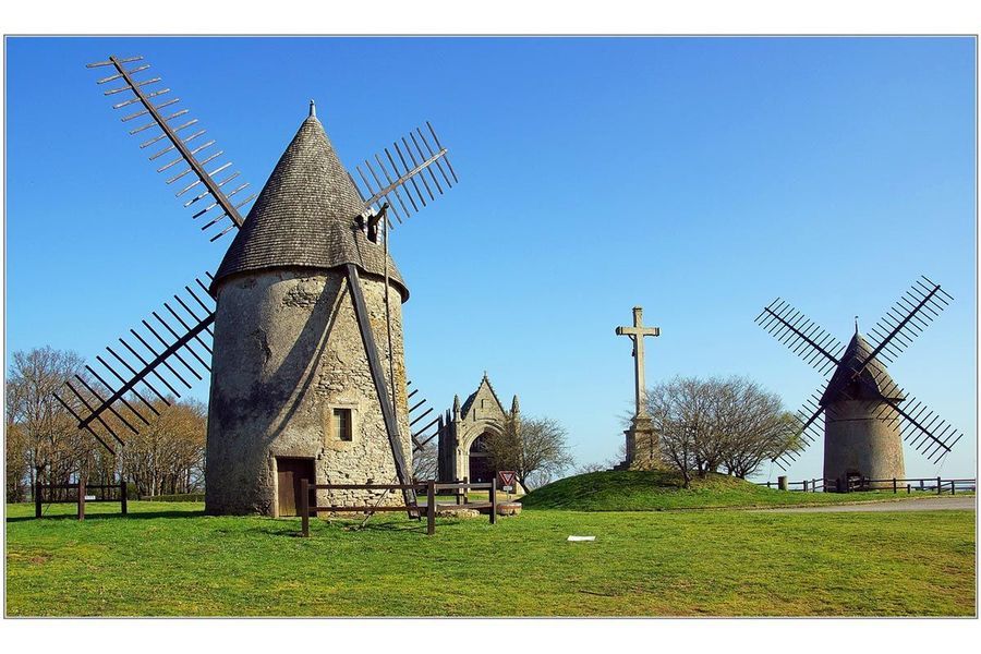 les herbiers