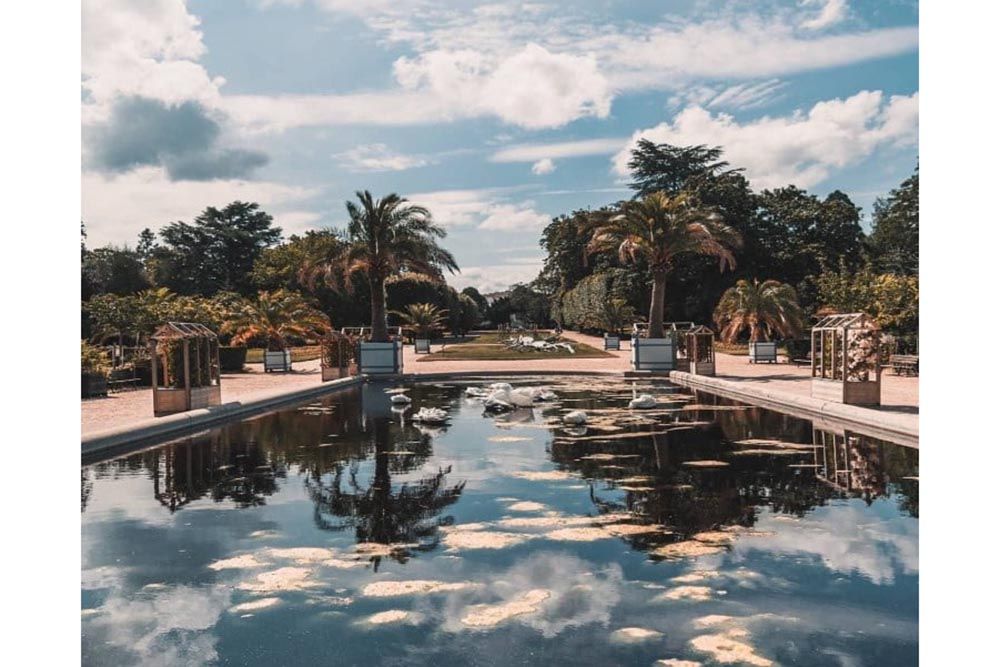 jardin-plantes
