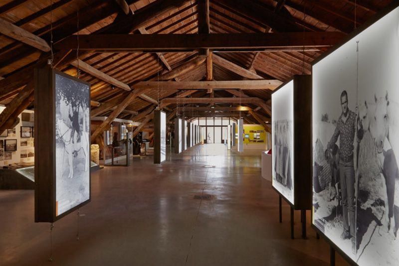 musee-camargue