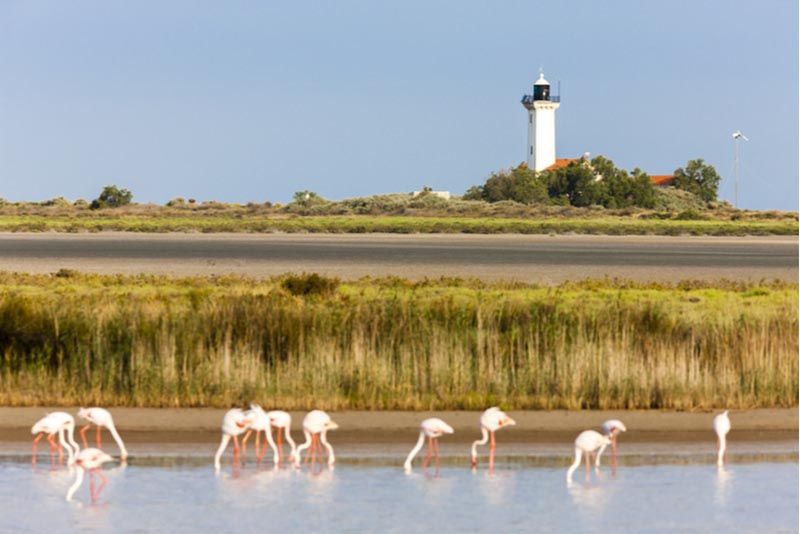 phare-gacholle