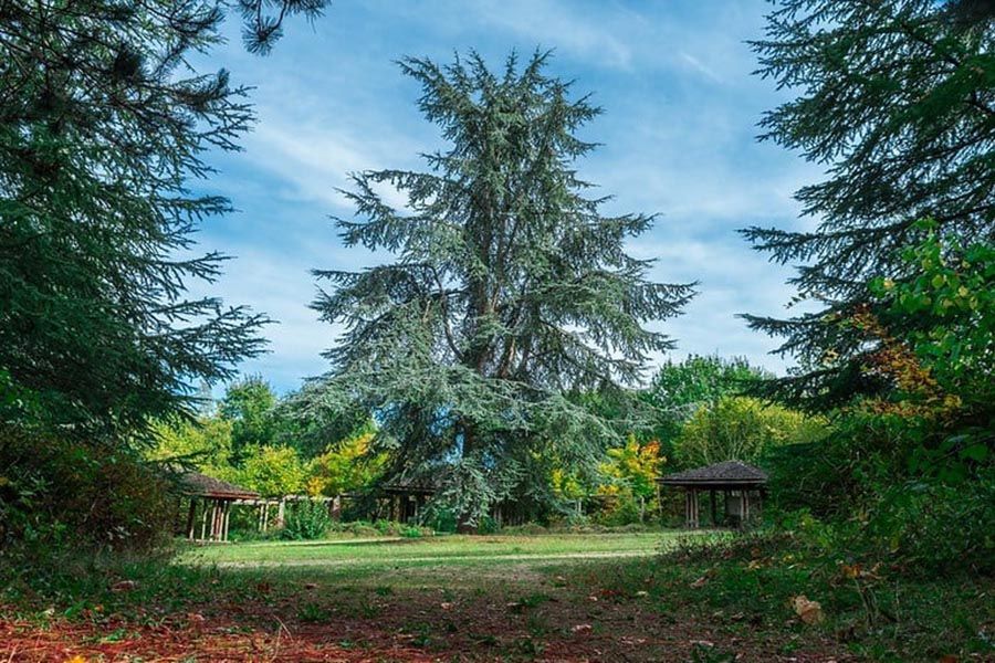 arboretum-roche-guyon
