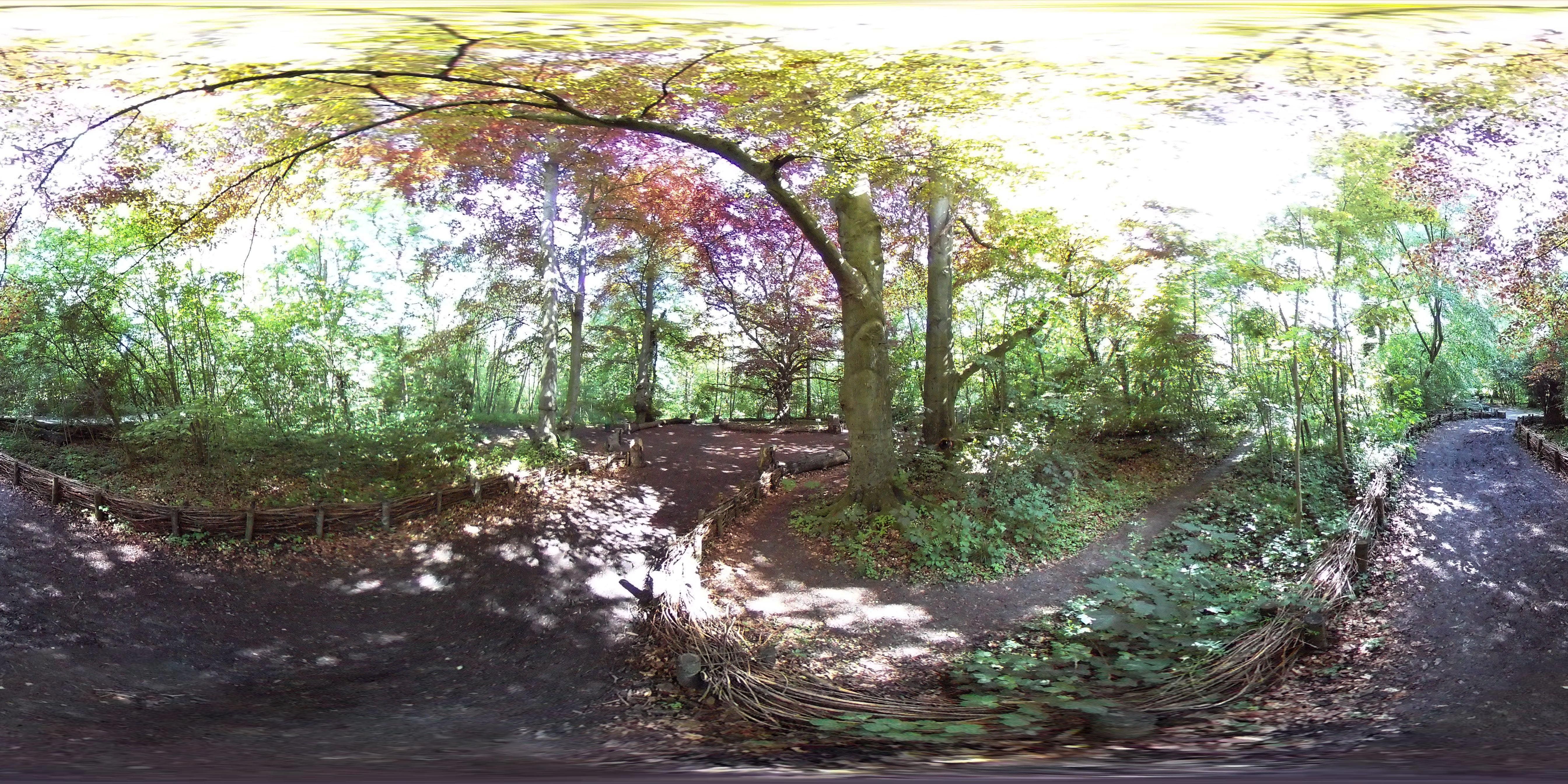 panorama-50