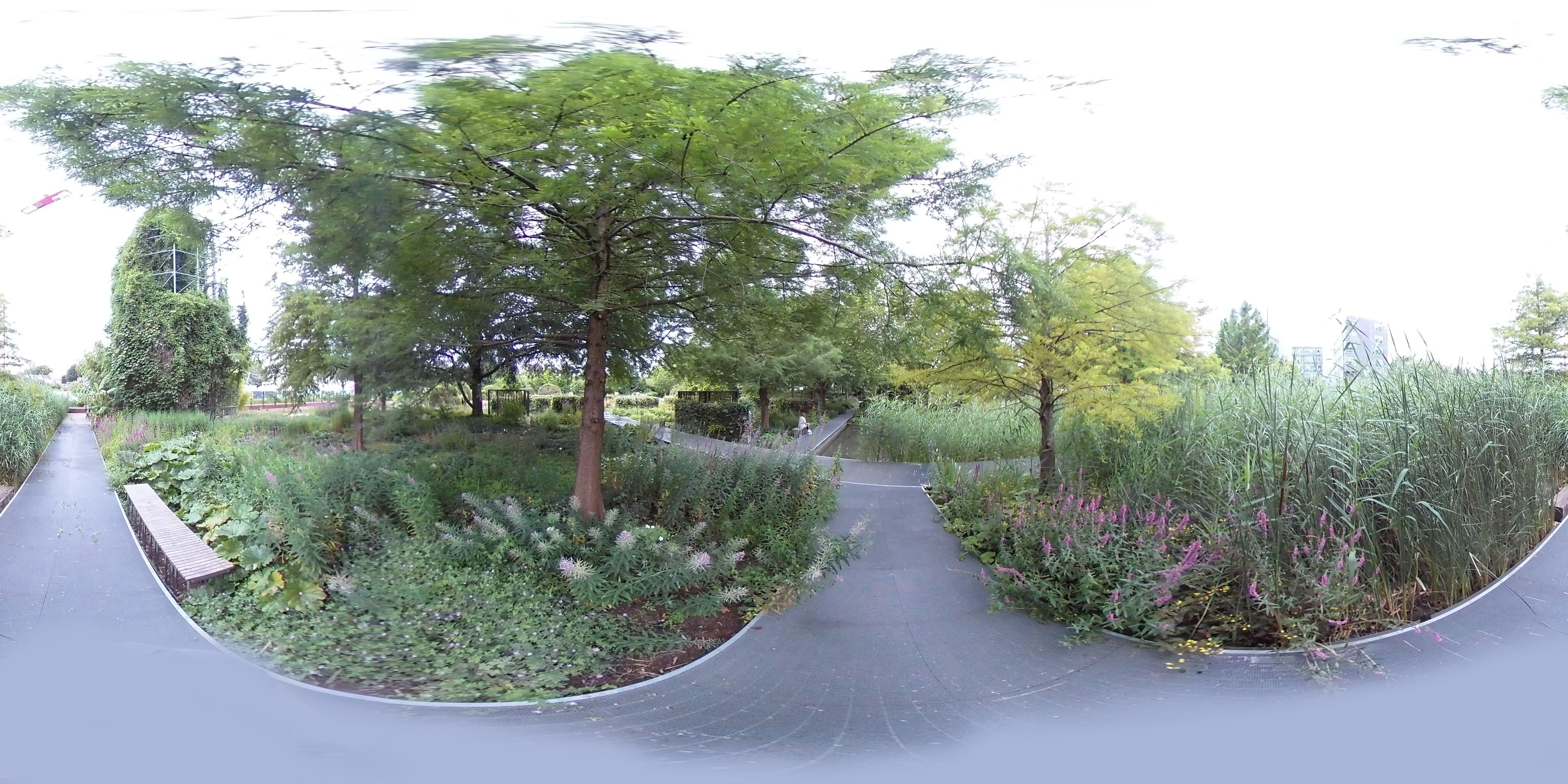 panorama-50