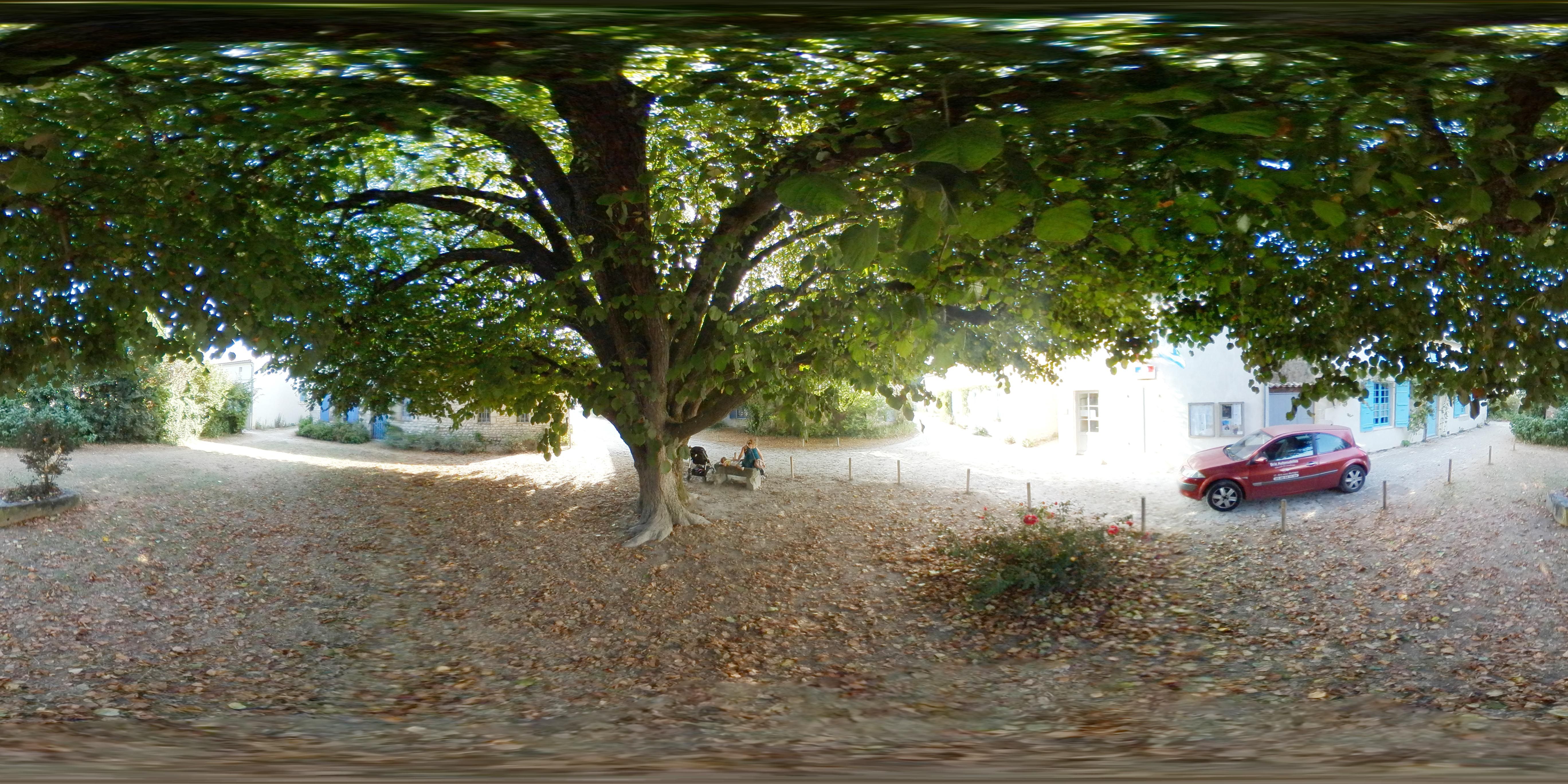 talmont-40