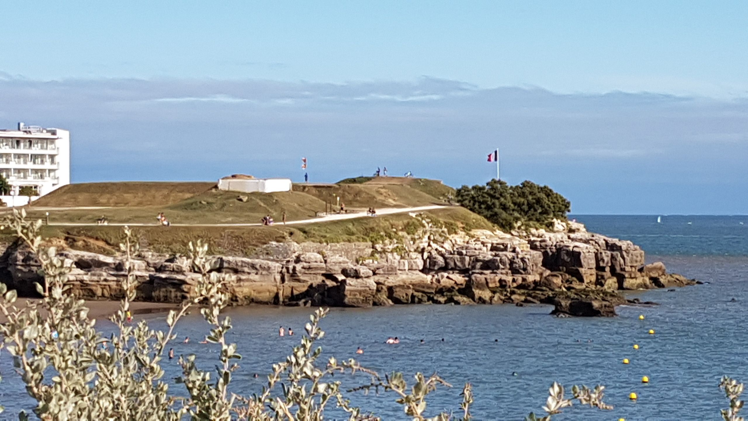 royan-50